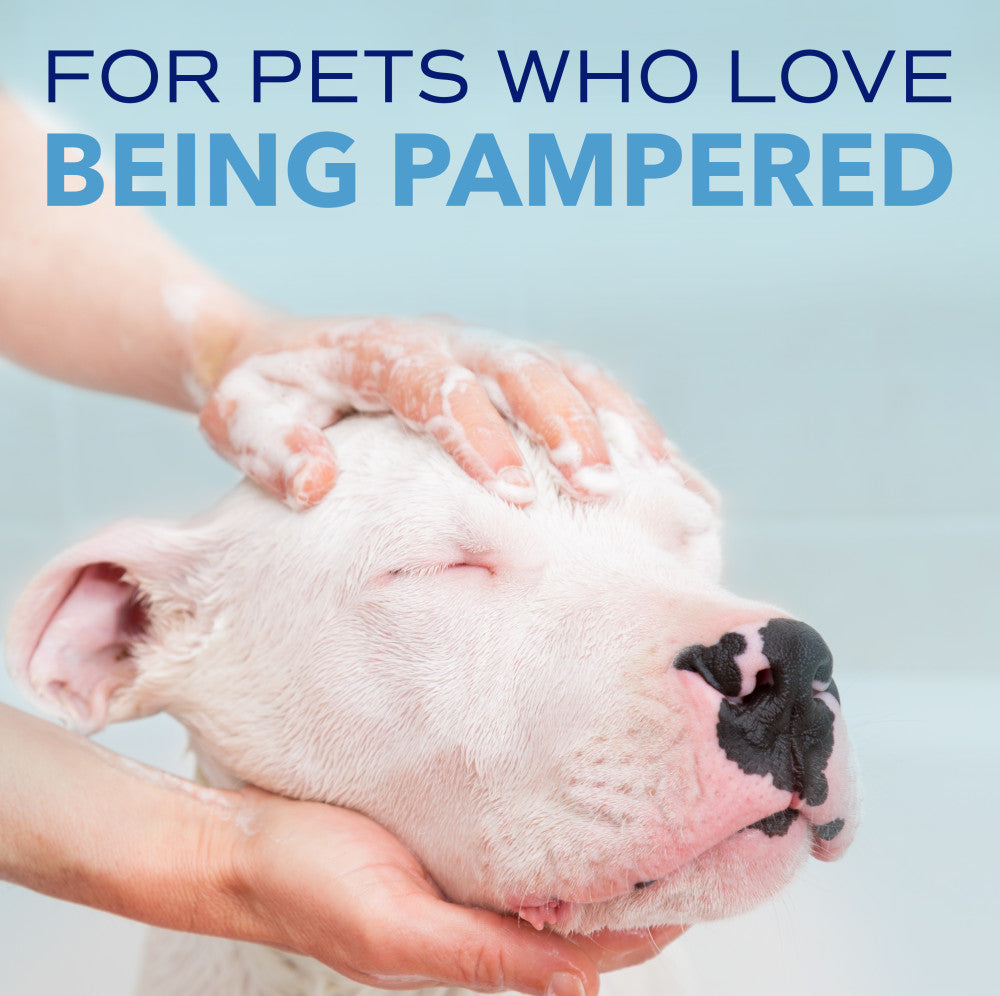 Pet Tear Stain Remover product image 9