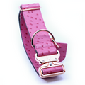 Leather Dog Collar product image 1