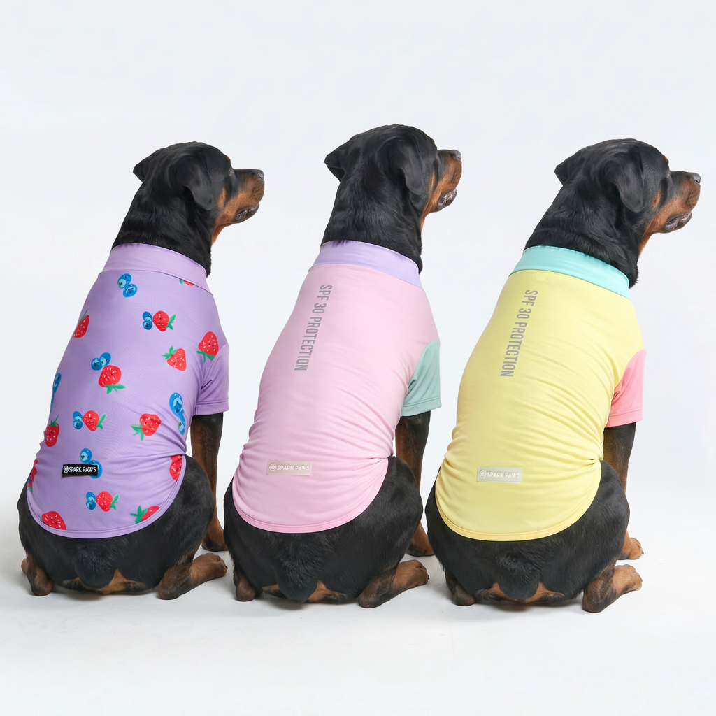 UPF 30 Dog Sun Shirt product image 71