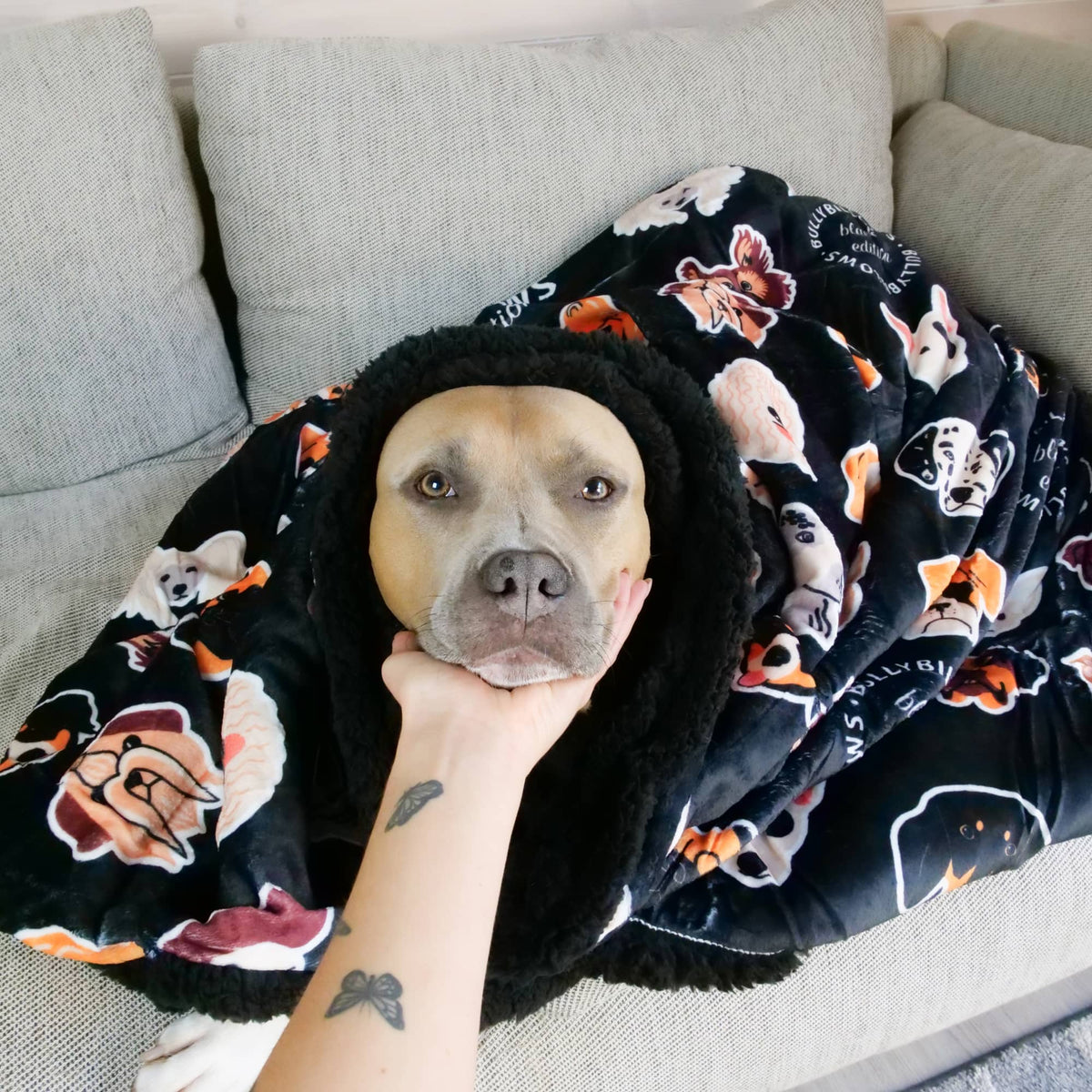 Black Pet Blanket for Dogs and Owners product image 4