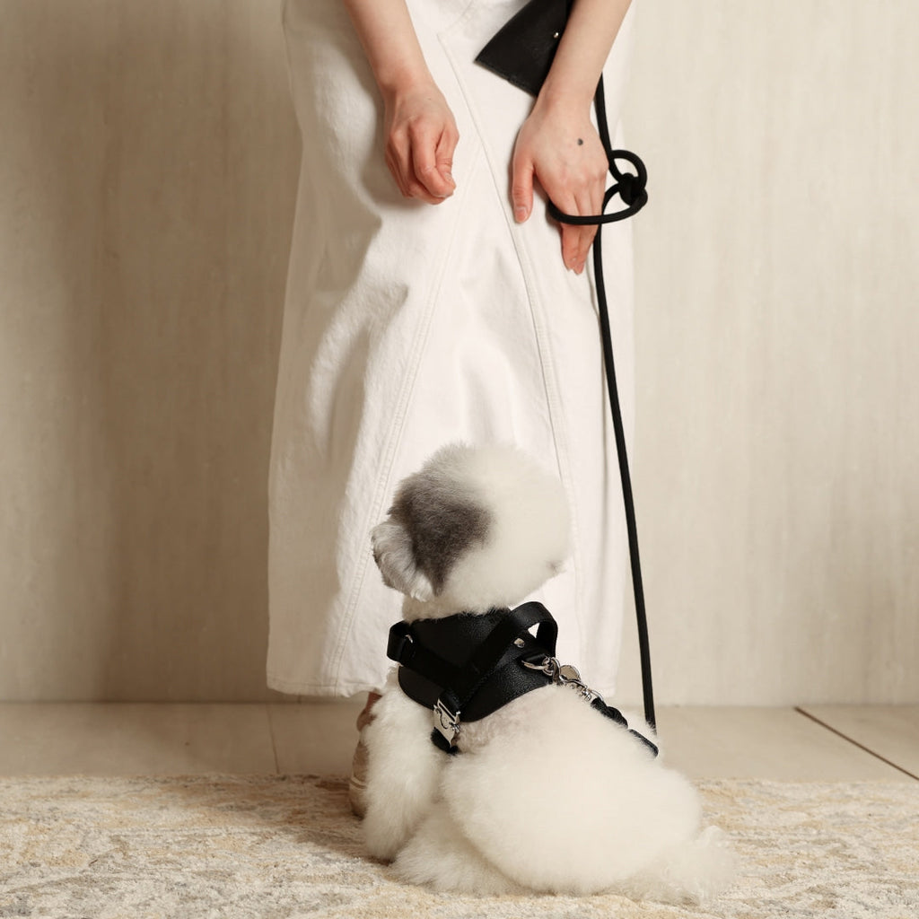 Hands-Free Dog Leash product image 8