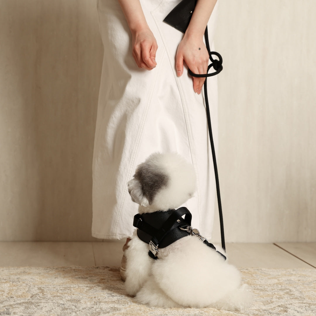 Hands-Free Dog Leash product image 8