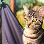 Cat Enclosure Hammock product image 2