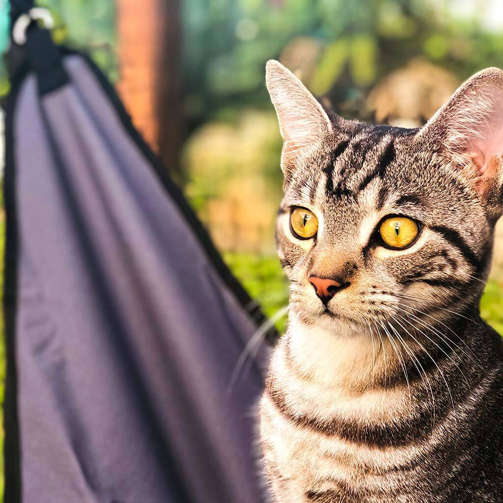 Cat Enclosure Hammock product image 2