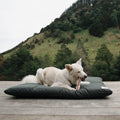 Outdoor Dog Bed product image 1