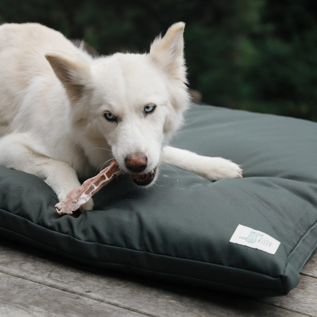 Outdoor Dog Bed product image 6