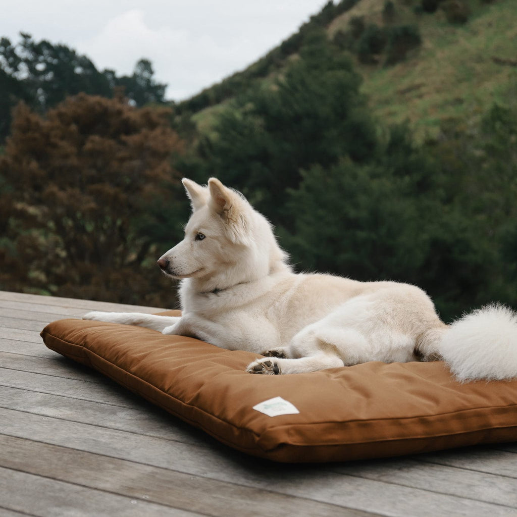 Outdoor Dog Bed product image 7