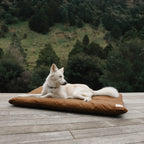 Outdoor Dog Bed product image 9