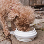 Collapsible Travel Bowls product image 19