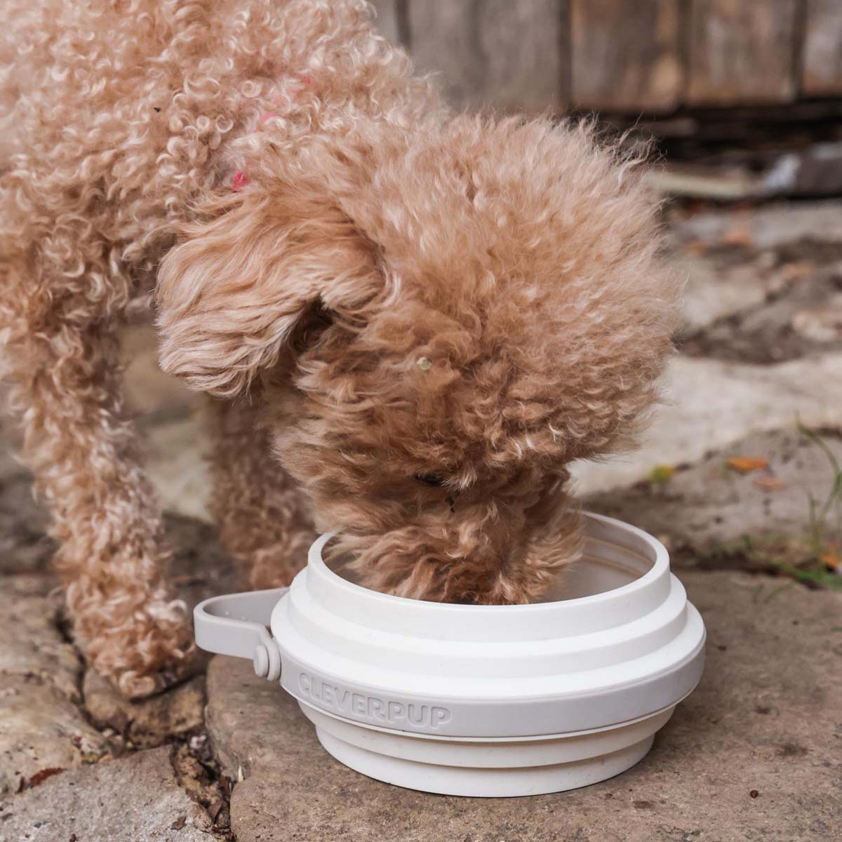 Collapsible Travel Bowls product image 19