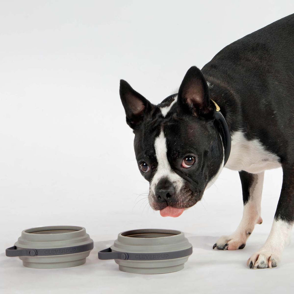 Collapsible Travel Bowls product image 21