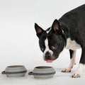 Collapsible Travel Bowls product image 21