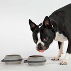 Collapsible Travel Bowls product image 21