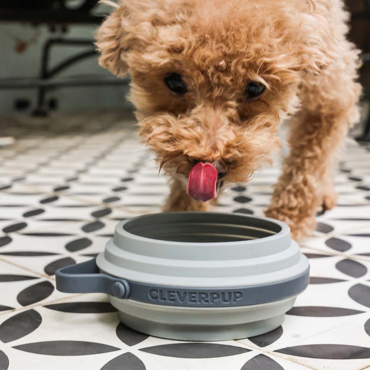 Collapsible Travel Bowls product image 26