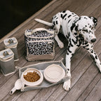 #color_leopard-large