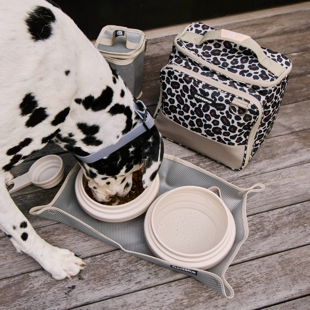 #color_leopard-large
