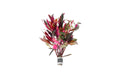 Aquatic Stem Plant product image 1