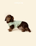 Dog Cooling Tee product image 1