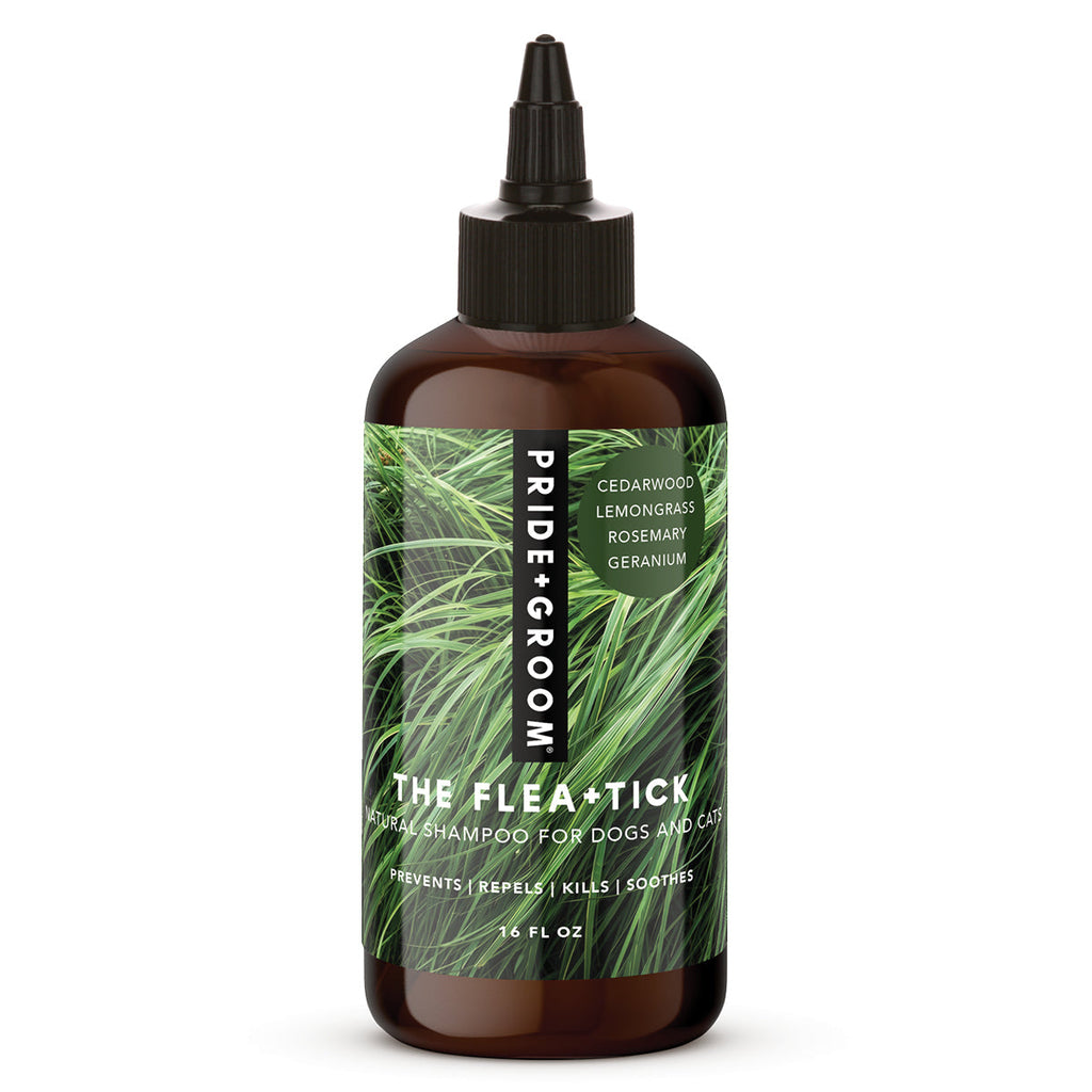 Flea & Tick Shampoo product image 1
