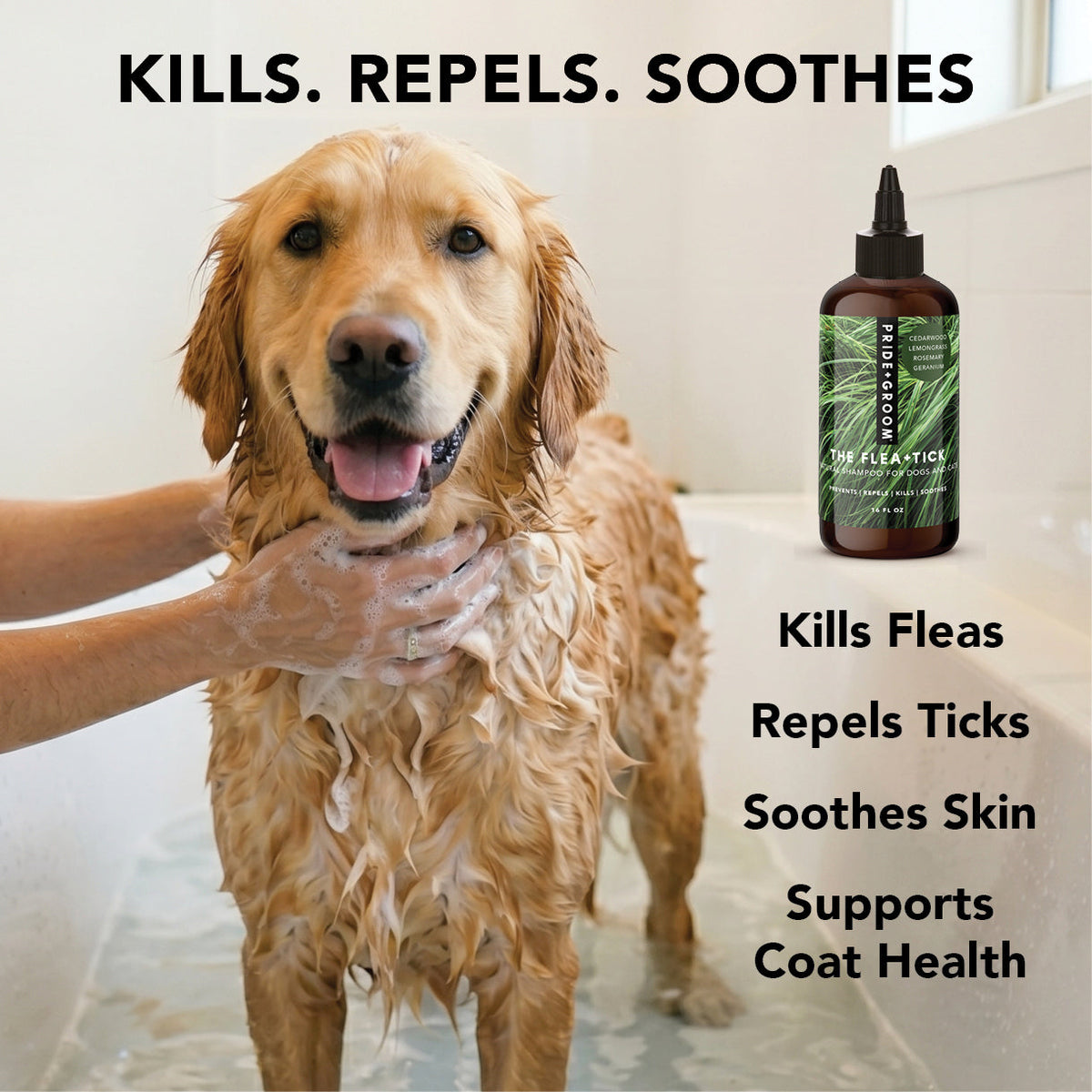 Flea & Tick Shampoo product image 2