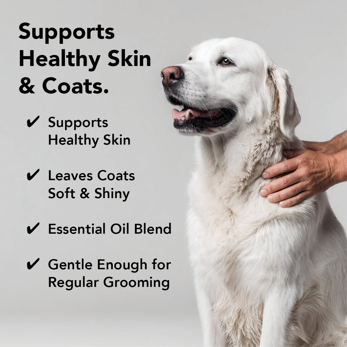 Flea & Tick Shampoo product image 5