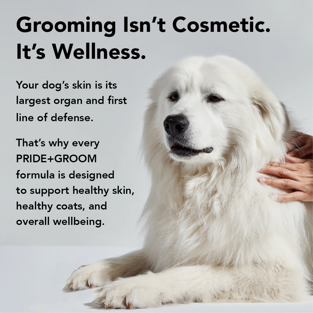 Flea & Tick Shampoo product image 7
