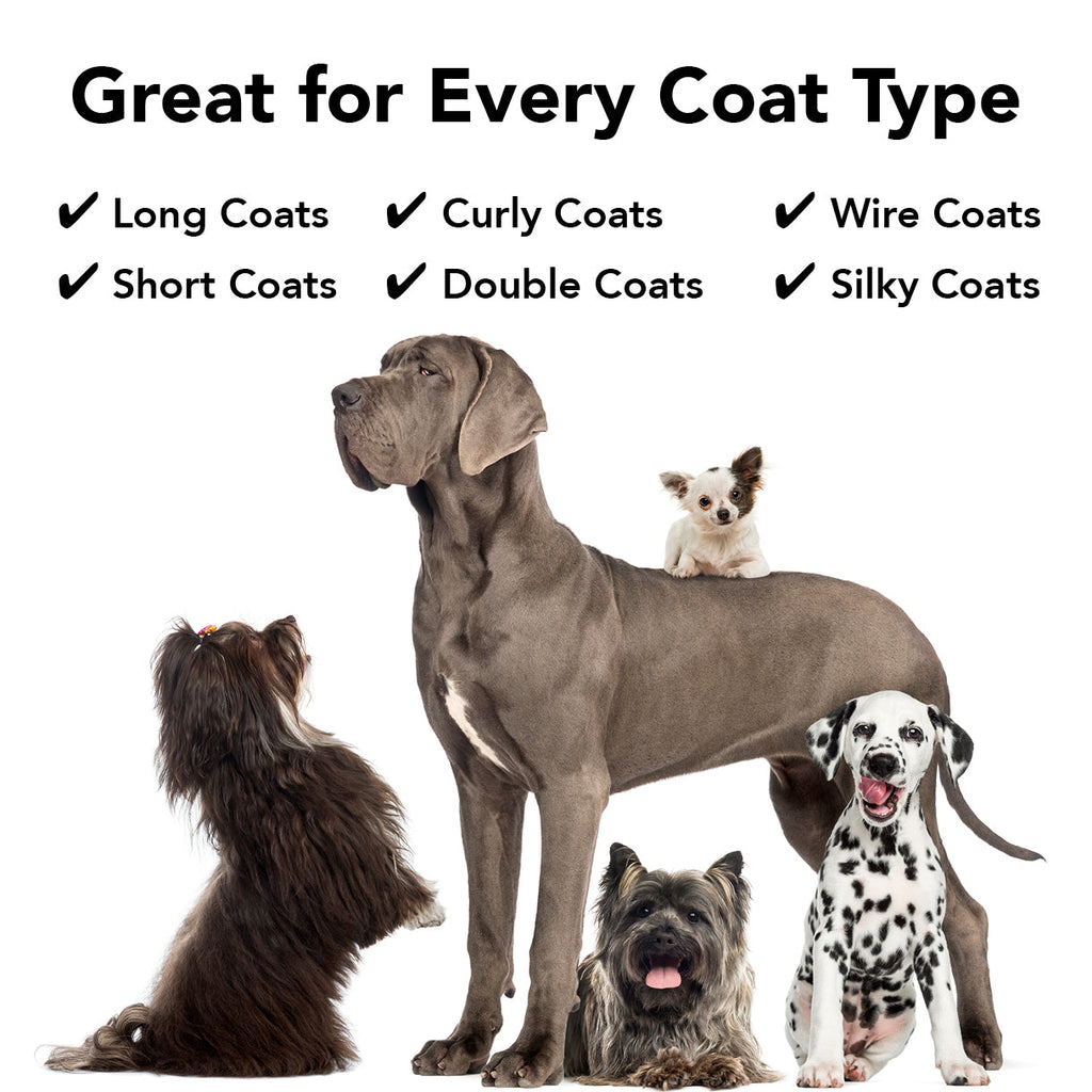 Flea & Tick Shampoo product image 10