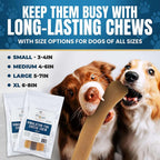 Himalayan Yak Cheese Dog Chews product image 6