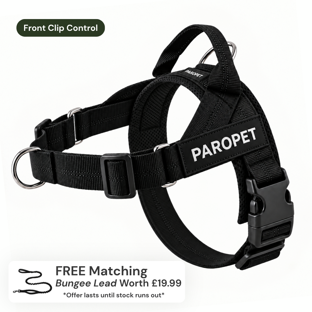 No Pull Dog Harness product image 1