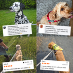 No Pull Dog Harness product image 5