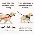No Pull Dog Harness product image 7
