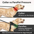 No Pull Dog Harness product image 8