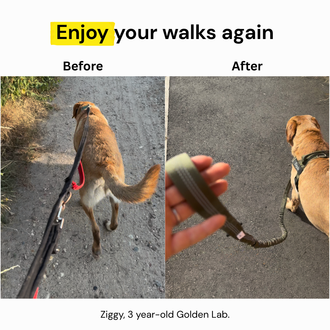 No Pull Dog Harness product image 11