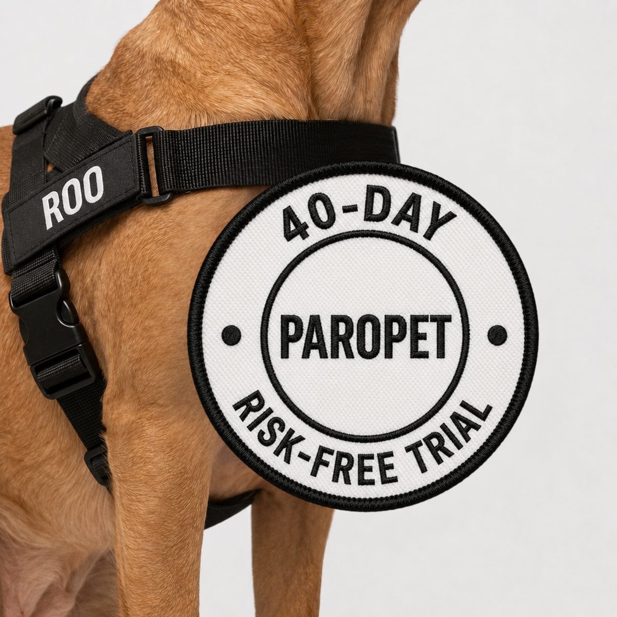 No Pull Dog Harness product image 12