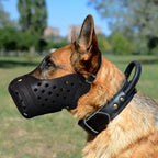 Leather Dog Muzzle product image 1