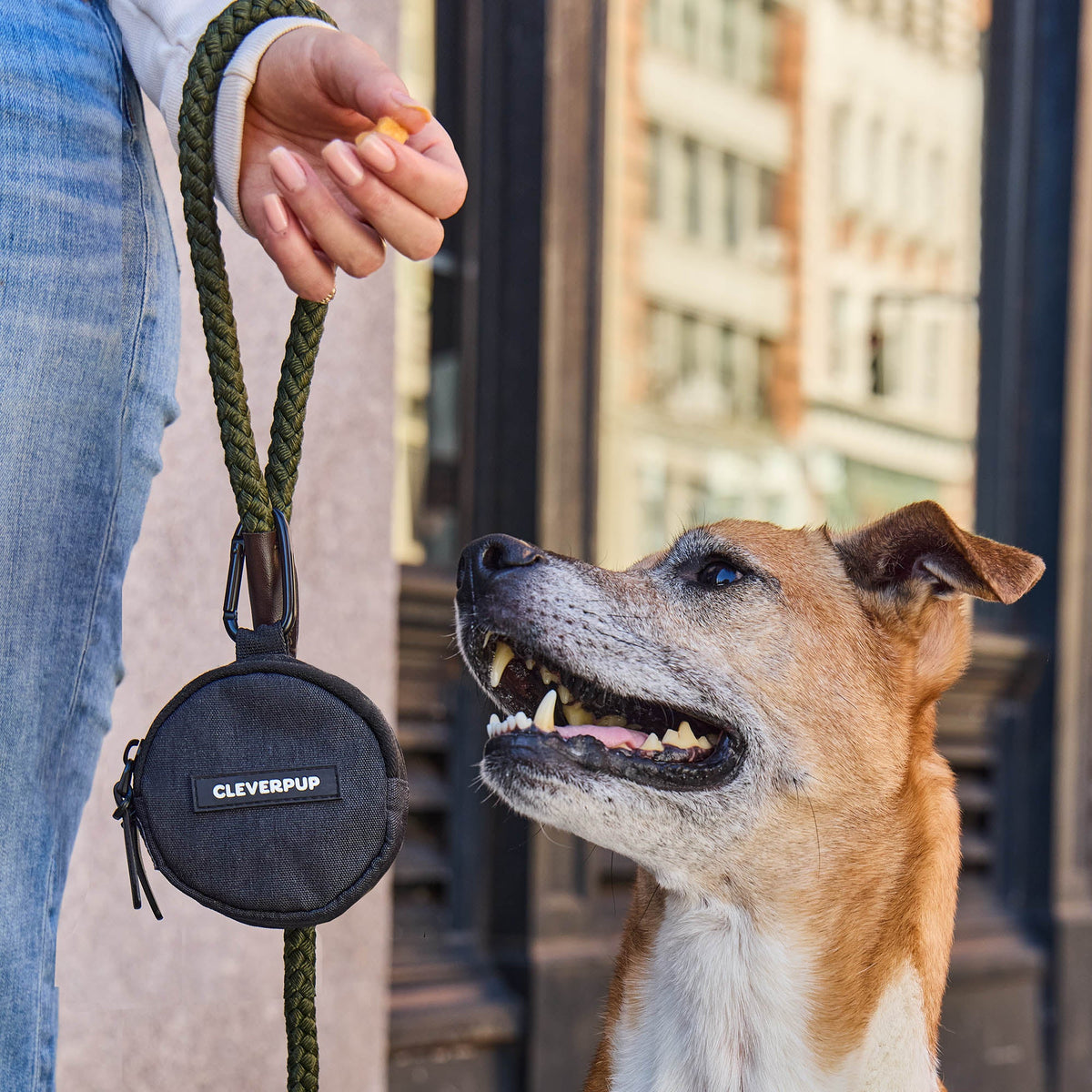 Dog Treat Pouch product image 16