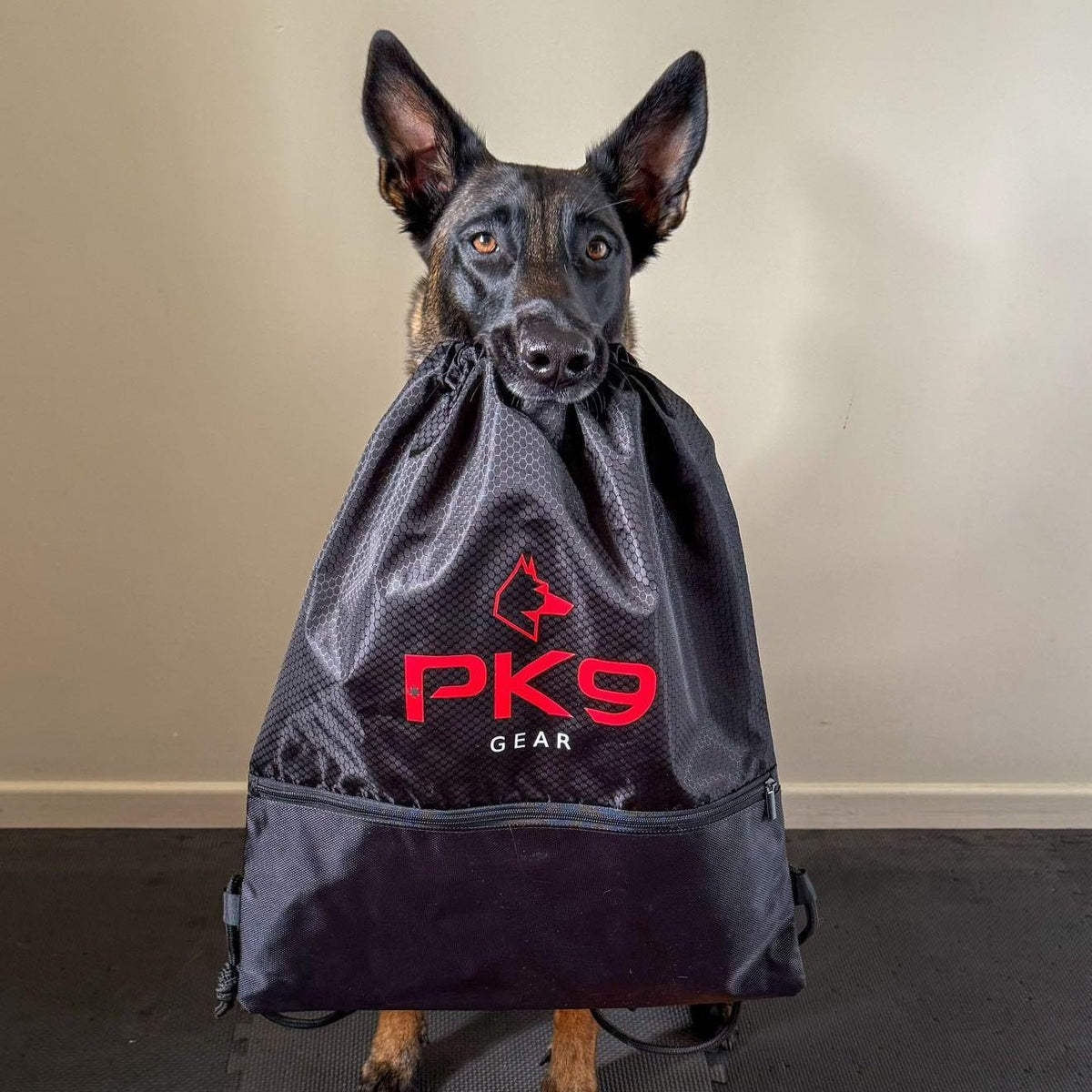 Dog Gear Bag product image 1