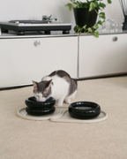 Pet Bowl Mats product image 6