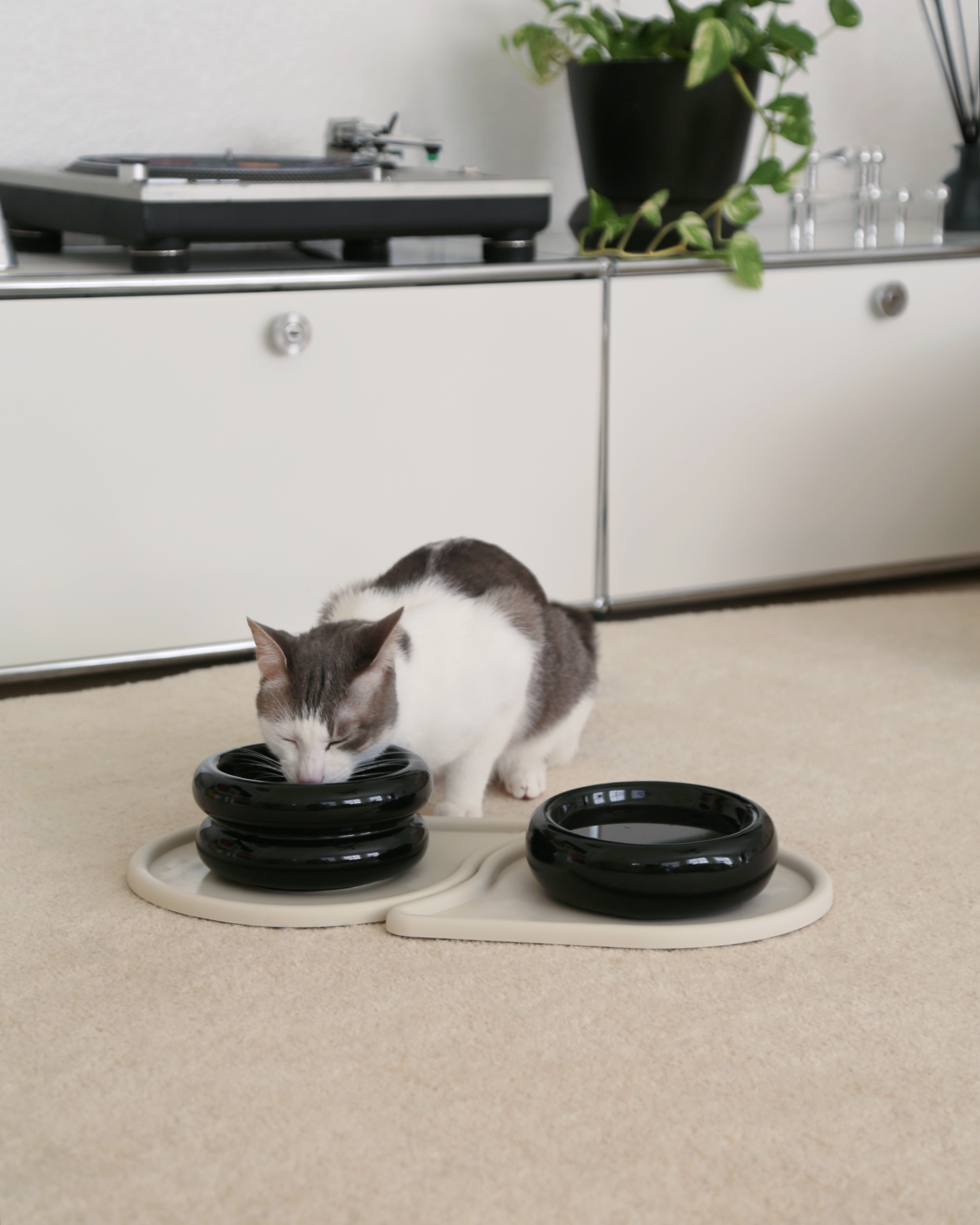 Pet Bowl Mats product image 6