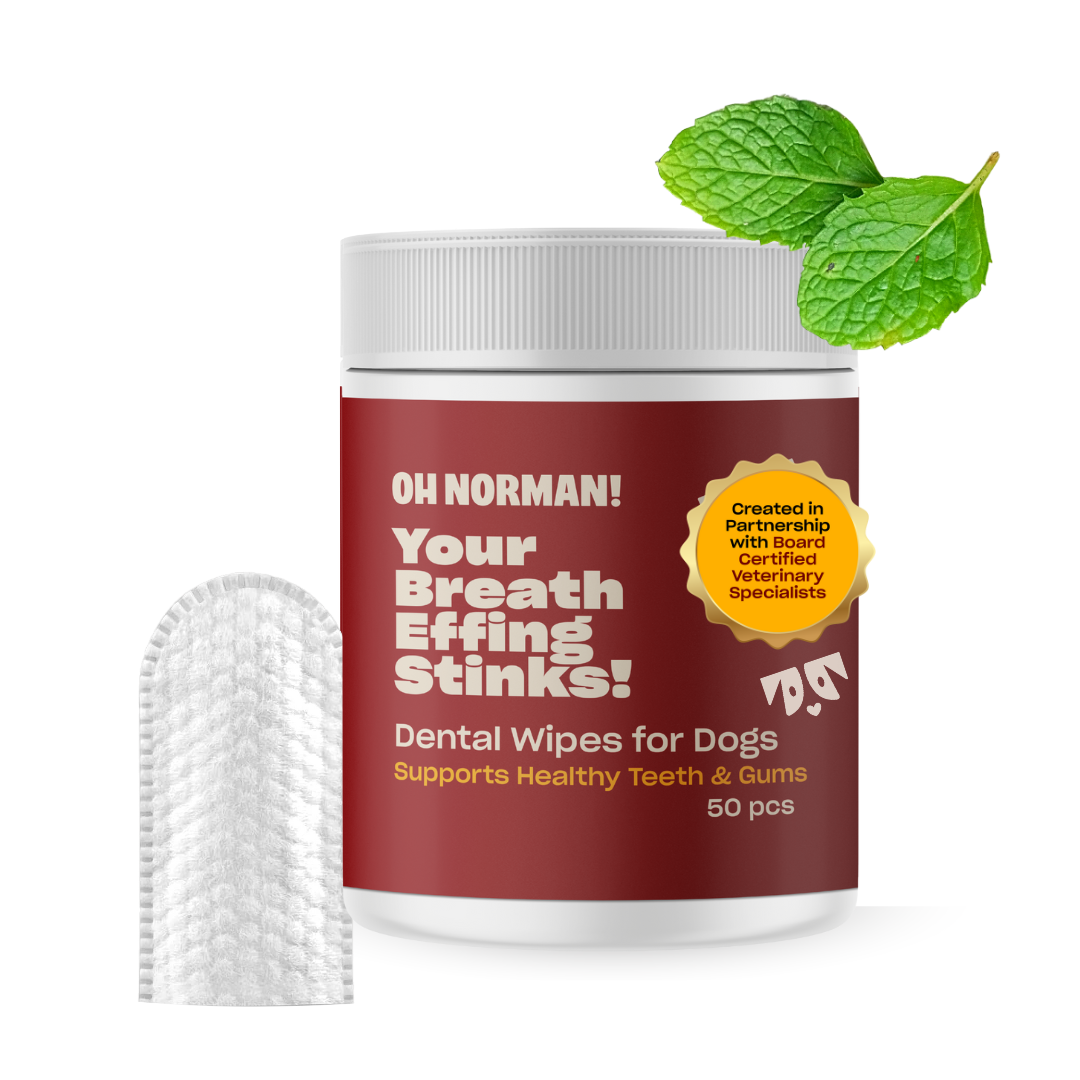 Jar of dog dental wipes labeled 'OH NORMAN! Your Breath Effing Stinks!' with mint leaves and a finger wipe