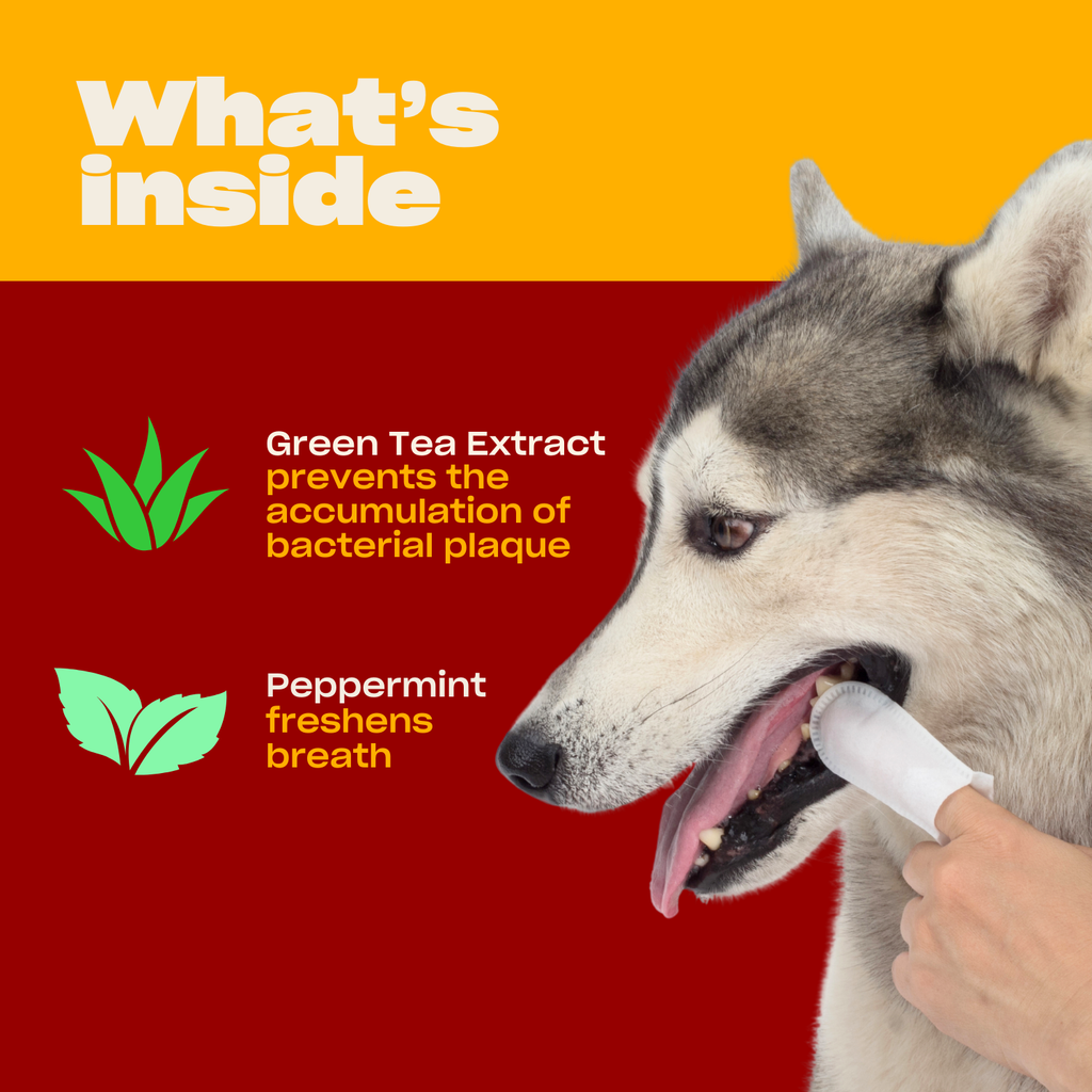 Graphic What's inside, Green Tea Extract prevents plaque, Peppermint freshens breath, dog with dental wipe