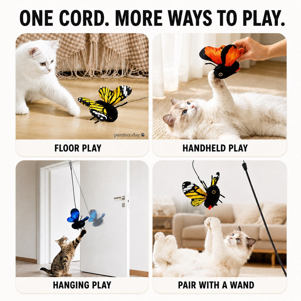 Interactive Cat Toy product image 6