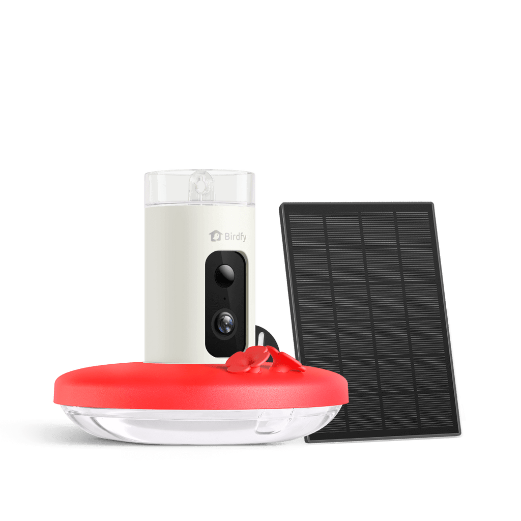 Camera Hummingbird Feeder product image 1