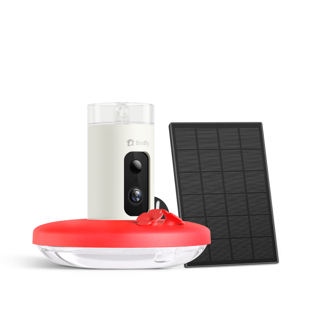 Camera Hummingbird Feeder product image 1