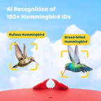Camera Hummingbird Feeder product image 2