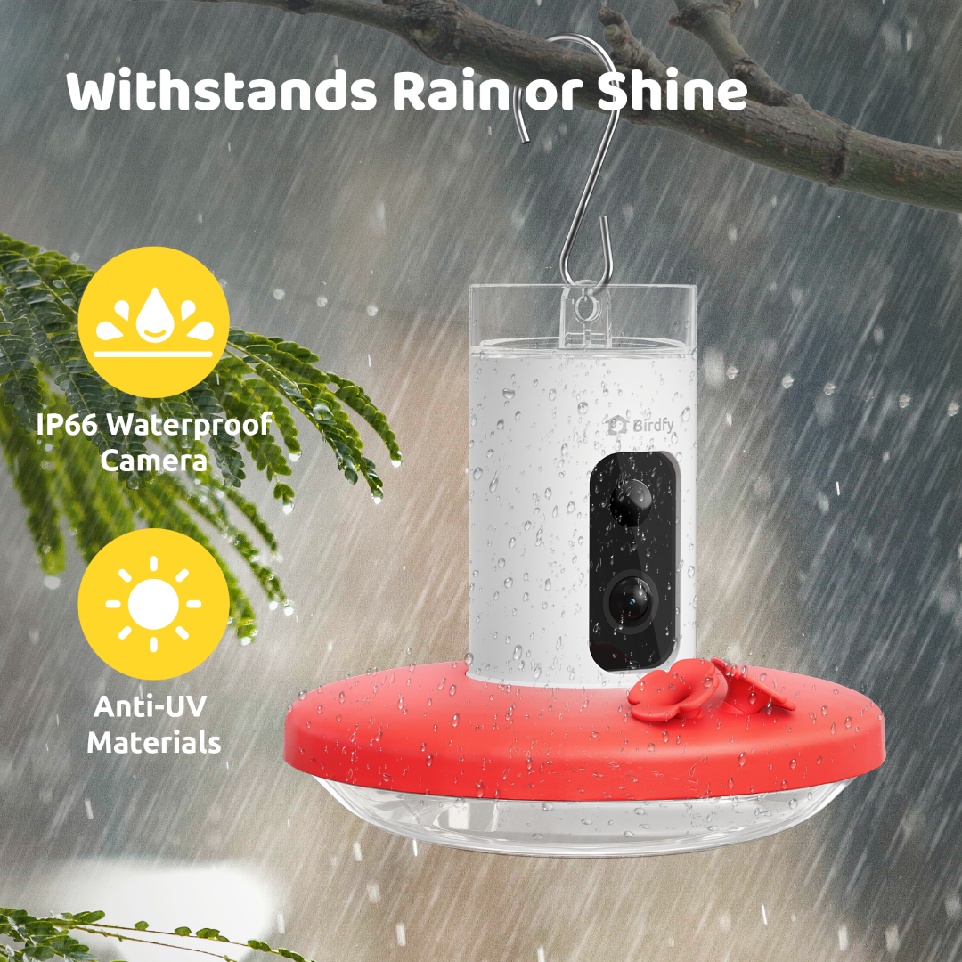 Camera Hummingbird Feeder product image 5