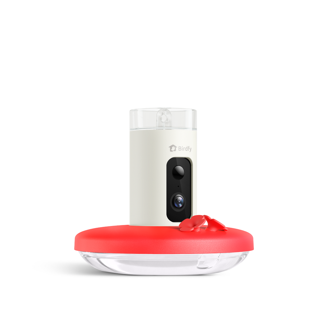 Camera Hummingbird Feeder product image 8