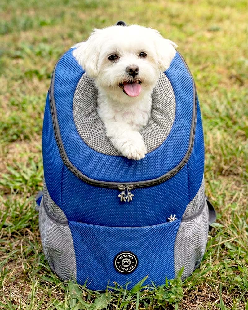 Dog Backpack Carrier product image 3