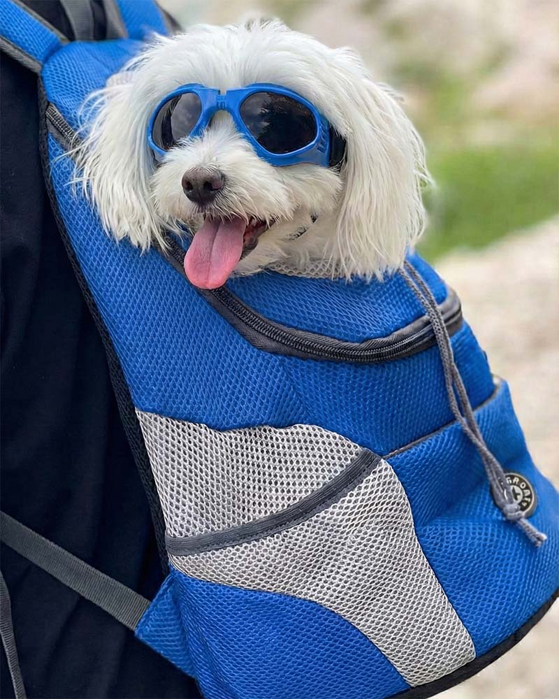 Dog Backpack Carrier product image 5