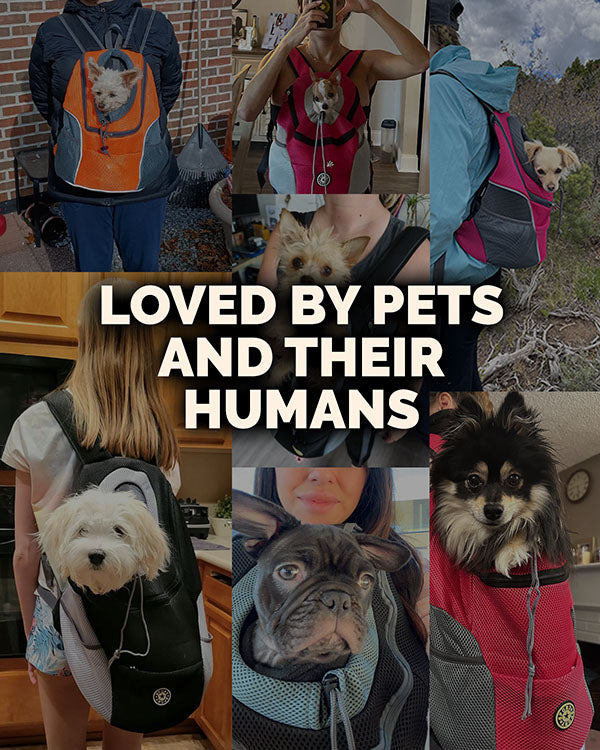 Dog Backpack Carrier product image 11